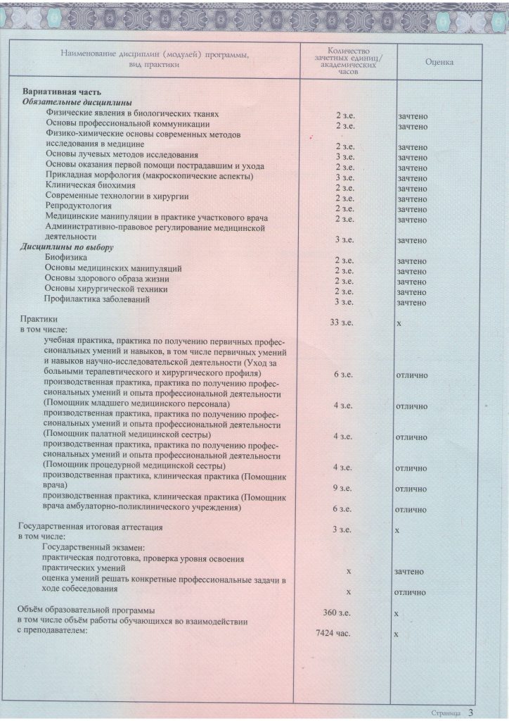 Диплом ВО прилож_page-0003